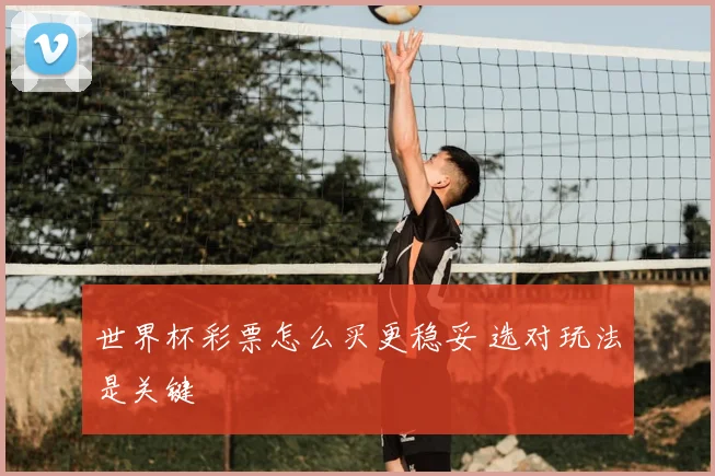 世界杯彩票怎么买更稳妥 选对玩法是关键