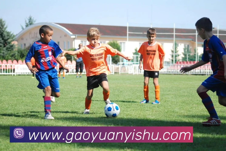 App Interface Preview